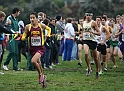 2010NCSXC BD3-014